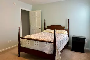 100 Recluse St, Chapin, SC 29036 - Photo 13