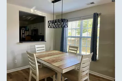 100 Recluse Street, Chapin, SC 29036 - Photo 5