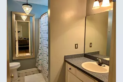 100 Recluse Street, Chapin, SC 29036 - Photo 11