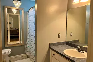 100 Recluse St, Chapin, SC 29036 - Photo 11