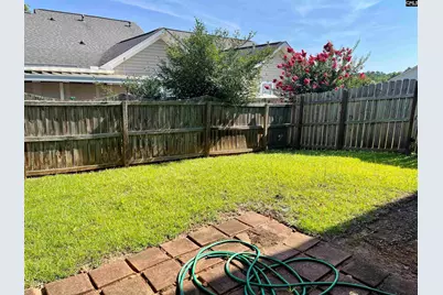 100 Recluse Street, Chapin, SC 29036 - Photo 19