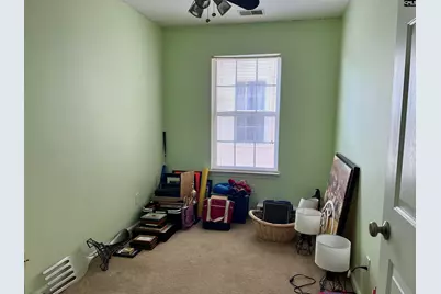 100 Recluse Street, Chapin, SC 29036 - Photo 15