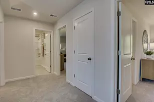 357 Chapin Pl Wy, Chapin, SC 29036 - Photo 41