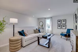 357 Chapin Pl Wy, Chapin, SC 29036 - Photo 39