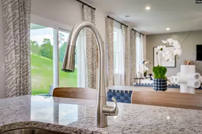 338 Chapin Place Way, Chapin, SC 29036 - Photo 19