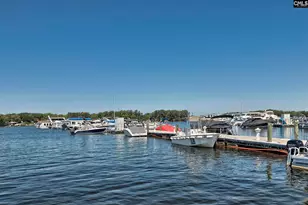 338 Chapin Pl Wy, Chapin, SC 29036 - Photo 21