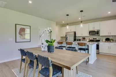 338 Chapin Place Way, Chapin, SC 29036 - Photo 9