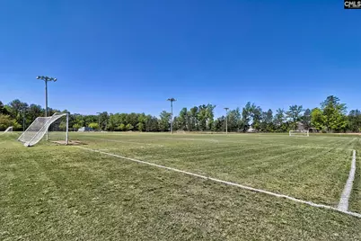 338 Chapin Place Way, Chapin, SC 29036 - Photo 35