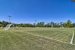 338 Chapin Pl Wy, Chapin, SC 29036 - Photo 35