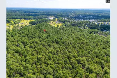 2249 Pepper Road, Lexington, SC 29073 - Photo 43