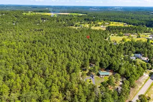 2249 Pepper Rd, Lexington, SC 29073 - Photo 41