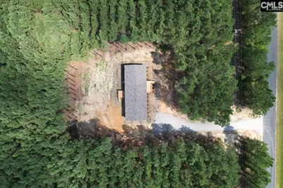 832 Horses Neck Road, Swansea, SC 29160 - Photo 29