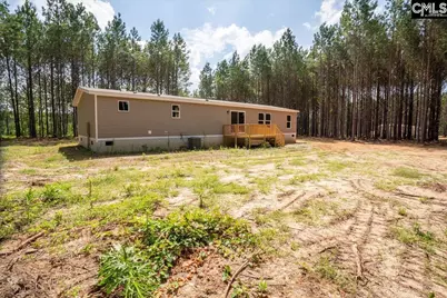 832 Horses Neck Road, Swansea, SC 29160 - Photo 3