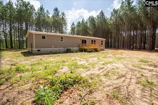 832 Horses Neck Rd, Swansea, SC 29160 - Photo 3