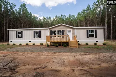 832 Horses Neck Road, Swansea, SC 29160 - Photo 1