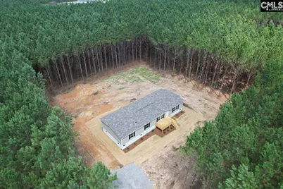 846 Horses Neck Road, Sandy Run, SC 29160 - Photo 27