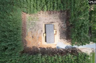 846 Horses Neck Rd, Sandy Run, SC 29160 - Photo 23