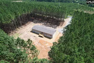 846 Horses Neck Rd, Sandy Run, SC 29160 - Photo 25