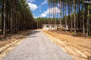 846 Horses Neck Rd, Sandy Run, SC 29160 - Photo 1
