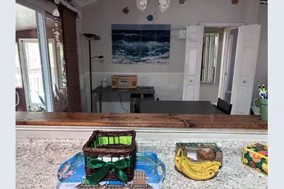 195 Lexington Lane, Chapin, SC 29036 - Photo 33