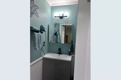 195 Lexington Lane, Chapin, SC 29036 - Photo 43