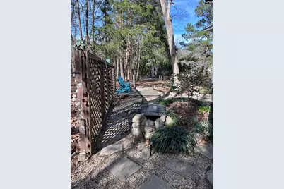195 Lexington Lane, Chapin, SC 29036 - Photo 11
