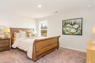 199 Livingston Woods Dr, Irmo, SC 29063 - Photo 19