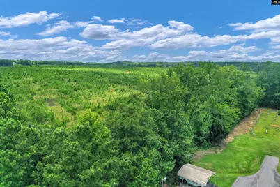 0000 Hwy 215 4 #4, Jenkinsville, SC 29065 - Photo 3