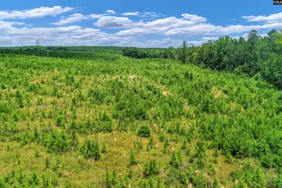 0000 Hwy 215 4 #4, Jenkinsville, SC 29065 - Photo 29