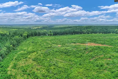 0000 Hwy 215 4 #4, Jenkinsville, SC 29065 - Photo 7