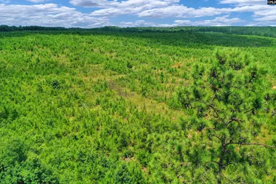 0000 Hwy 215 4 #4, Jenkinsville, SC 29065 - Photo 27