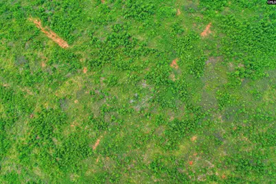 0000 Hwy 215 4 #4, Jenkinsville, SC 29065 - Photo 21