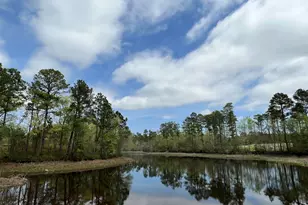 178 Secretariat Rd, Lexington, SC 29073 - Photo 29