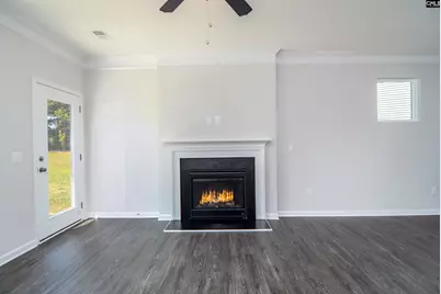 178 Secretariat Street, Lexington, SC 29073 - Photo 5