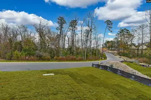 182 Secretariat St, Lexington, SC 29073 - Photo 11