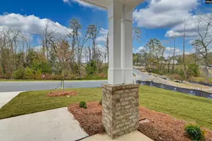 182 Secretariat St, Lexington, SC 29073 - Photo 9