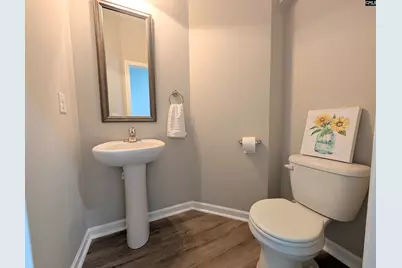 816 Ingamma Court, Lexington, SC 29073 - Photo 11