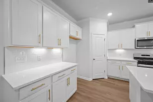 110 Monroe Preserve Dr, Chapin, SC 29036 - Photo 11