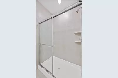 110 Monroe Preserve Drive, Chapin, SC 29036 - Photo 17