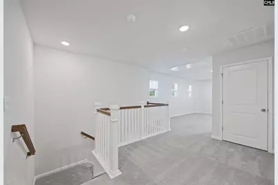 110 Monroe Preserve Drive, Chapin, SC 29036 - Photo 19