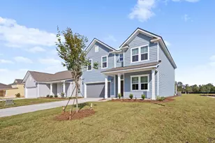 133 Monroe Preserve Dr, Chapin, SC 29036 - Photo 3