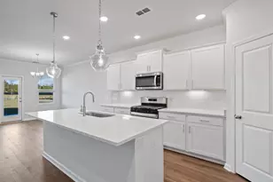 133 Monroe Preserve Dr, Chapin, SC 29036 - Photo 9