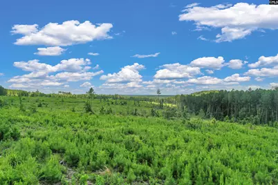 0000 Hwy 215 5 #5, Jenkinsville, SC 29065 - Photo 25