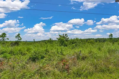 0000 Hwy 215 5 #5, Jenkinsville, SC 29065 - Photo 41