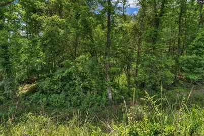 0000 Hwy 215 5 #5, Jenkinsville, SC 29065 - Photo 35