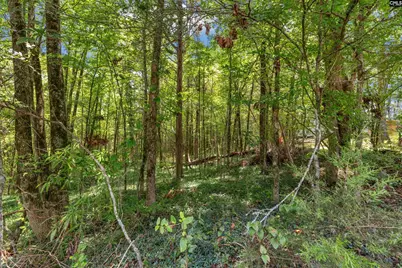 0000 Hwy 215 5 #5, Jenkinsville, SC 29065 - Photo 7