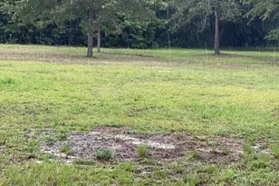 349 Wagner Hwy, Leesville, SC 29070 - Photo 19