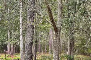 349 Wagner Hwy, Leesville, SC 29070 - Photo 21