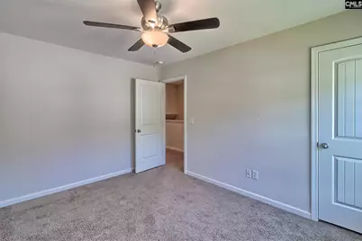 306 Dolly Horn Lane, Chapin, SC 29036 - Photo 33