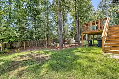 306 Dolly Horn Lane, Chapin, SC 29036 - Photo 45